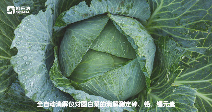 全自動消解儀對圓白菜的消解測定砷、鉛、鎘元素